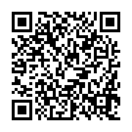 QR code for plate GPP 196