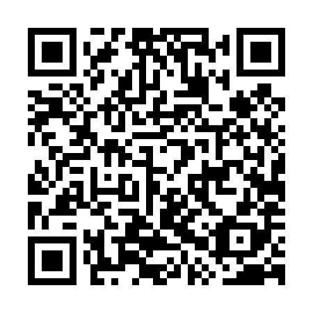 QR code for GPT 488