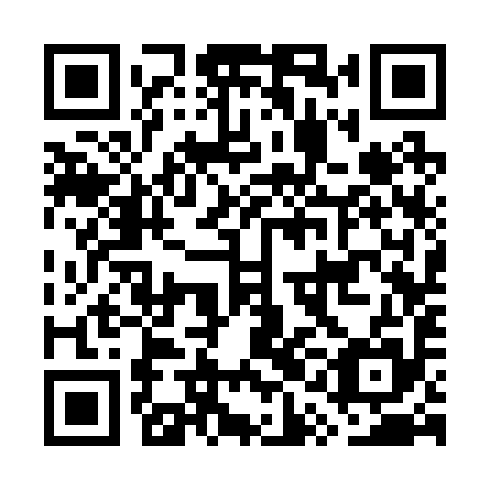 QR code for plate GQC 295