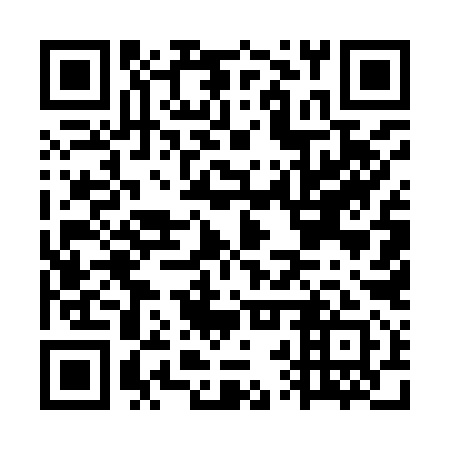 QR code for GRU 991