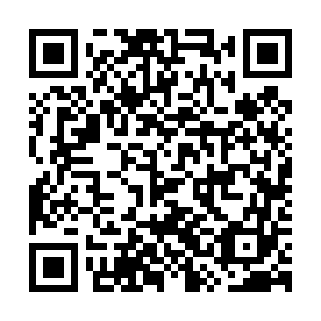 QR code for GSF 463