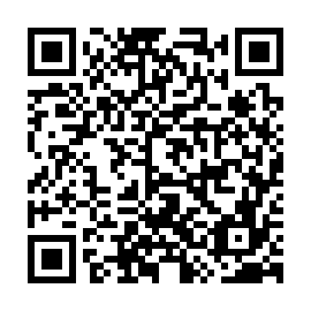 QR code for GSG 376