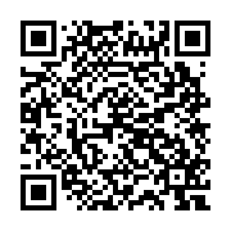 QR code for plate GSO 317