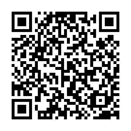 QR code for plate GSS 491