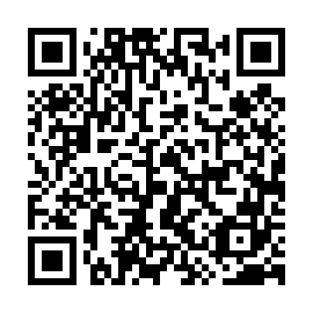 QR code for plate GST 462