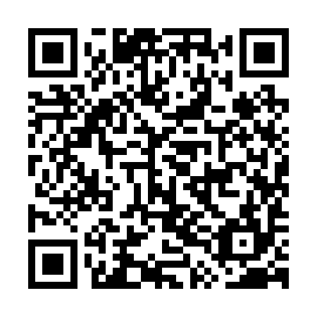 QR code for GTI 294