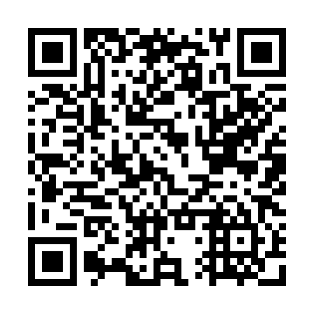 QR code for plate GTY 385