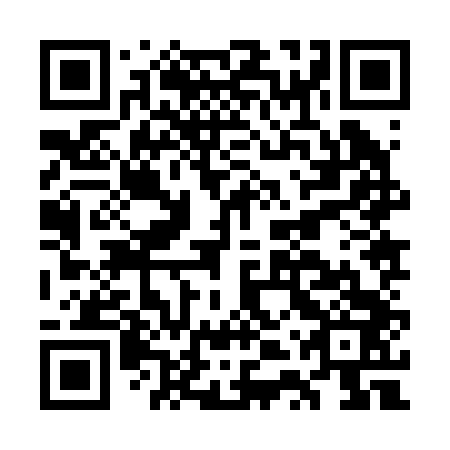 QR code for GTZ 243
