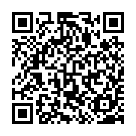 QR code for plate GUC 295
