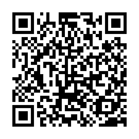 QR code for GUI 208