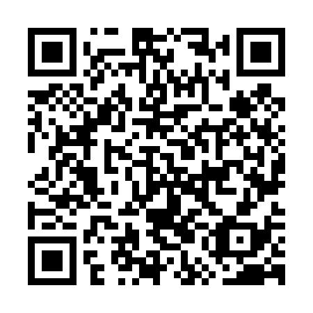 QR code for GUN 438