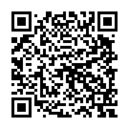 QR code for GWX 493