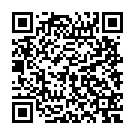 QR code for GYN 520