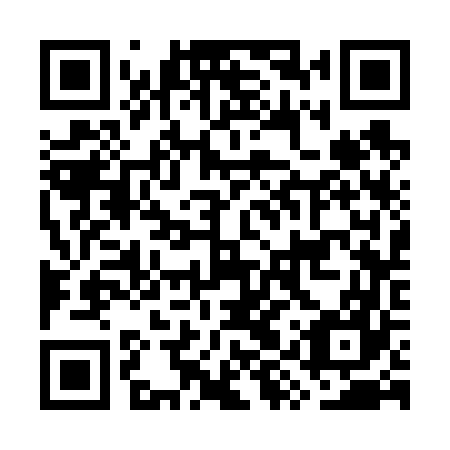 QR code for plate GYS 667