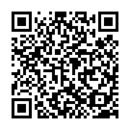 QR code for plate GZB 419
