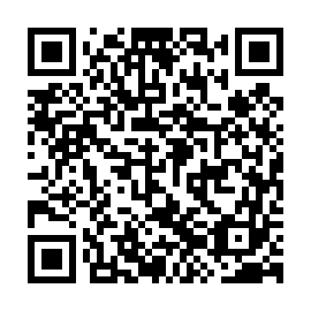 QR code for plate GZE 463