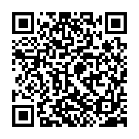 QR code for GZK313