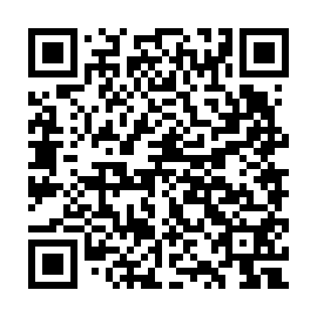 QR code for GZN 650