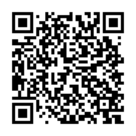 QR code for GZZ 303