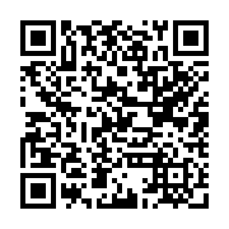 QR code for plate HAG 318
