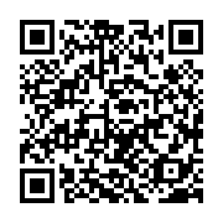 QR code for plate HAH 038