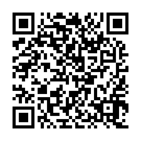 QR code for plate HAN 916