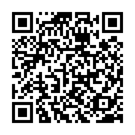 QR code for plate HAU 538