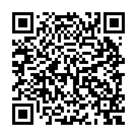 QR code for plate HAX 293
