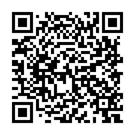 QR code for plate HAX 953
