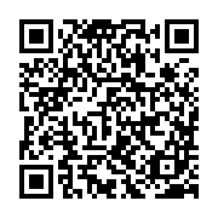 QR code for plate HAZ 983