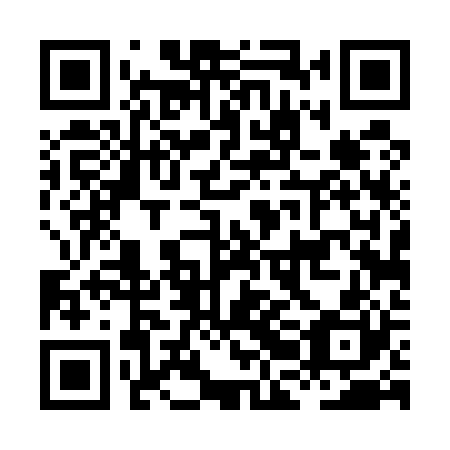 QR code for plate HBD 520