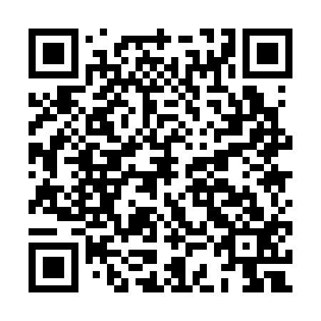 QR code for HCA 313