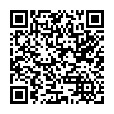 QR code for HCI 334