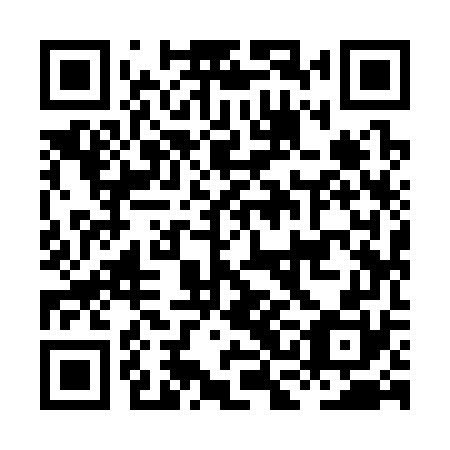 QR code for HCI 370