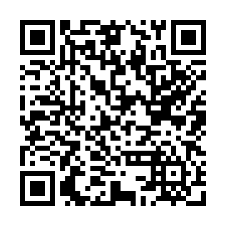 QR code for plate HCK 384