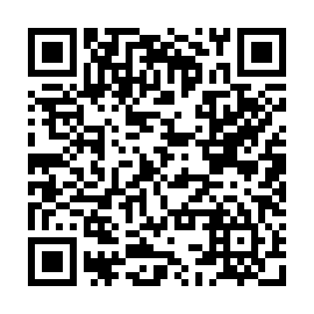 QR code for HCQ 385