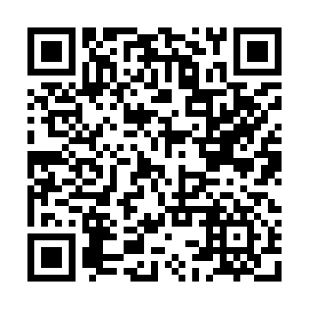 QR code for plate HCZ 917
