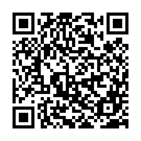 QR code for HDE 446