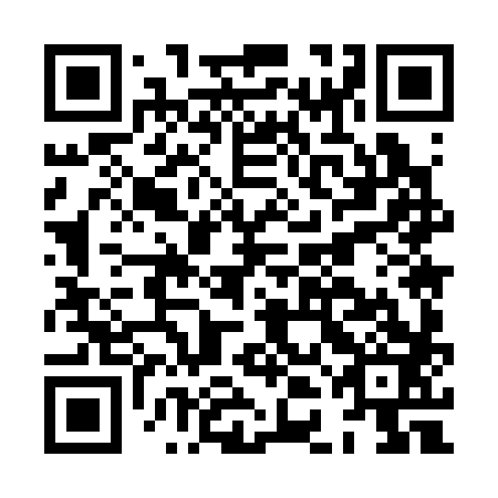 QR code for plate HDM 383