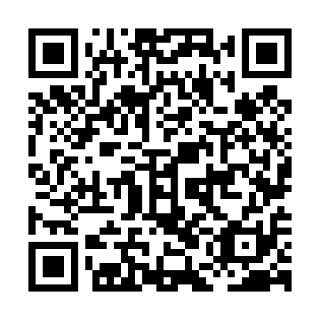 QR code for plate HEN 411