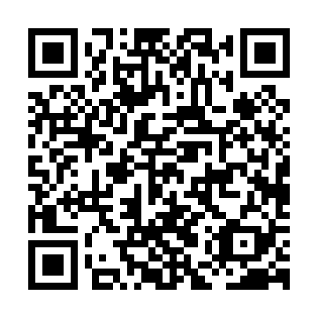 QR code for HEP 029