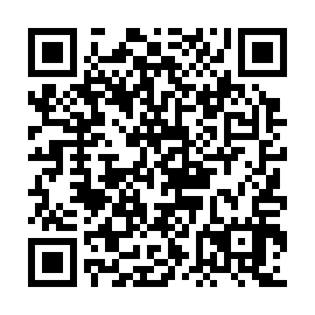 QR code for plate HFD 317