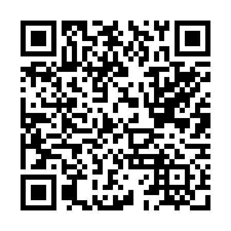 QR code for plate HFF 271