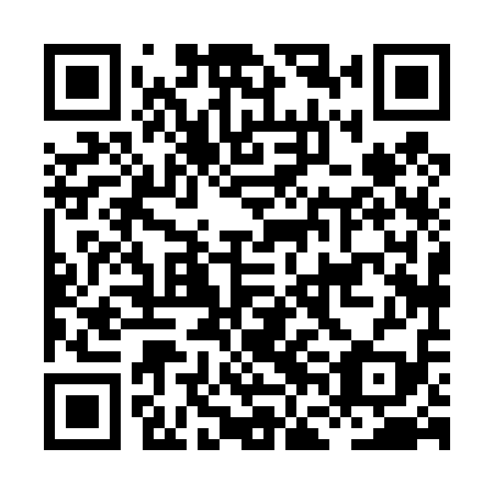QR code for plate HFH 419