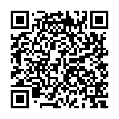 QR code for HGG919