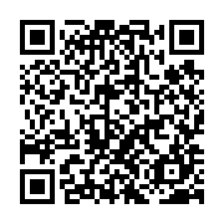 QR code for plate HGO 684