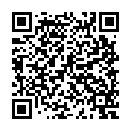 QR code for plate HGP 196
