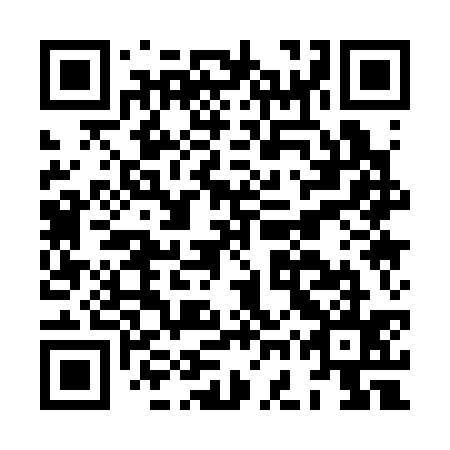 QR code for plate HGQ 335