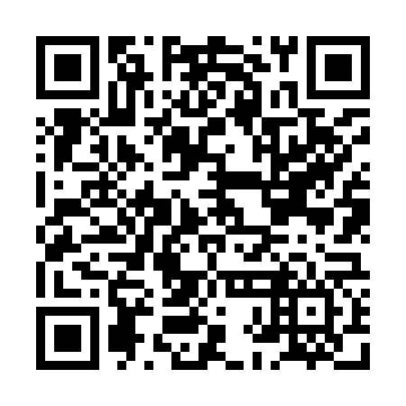 QR code for HHN 966