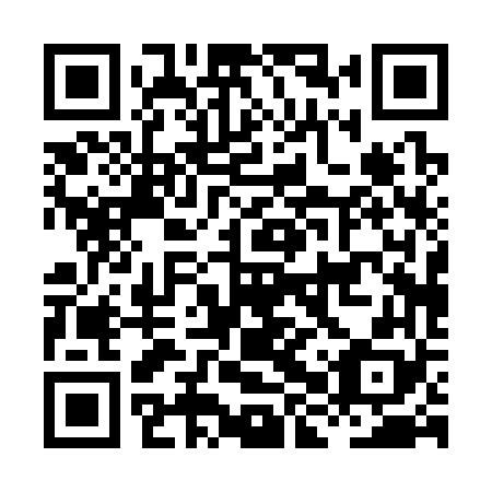 QR code for plate HHP 368